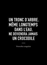 Load image into Gallery viewer, Cartes-postales-proverbes-africains-Little-Africa