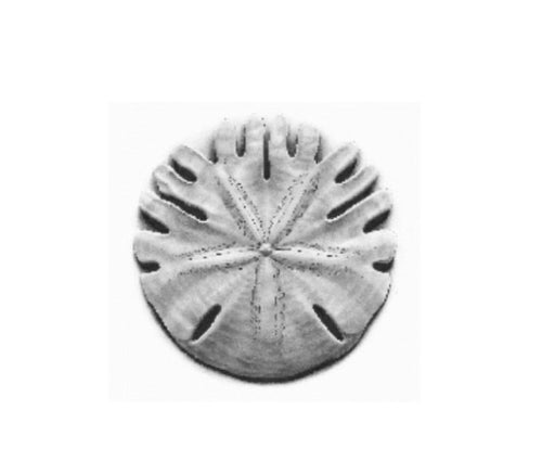 Capucine Minot Workshop - Sand Dollar Print 30x40 cm