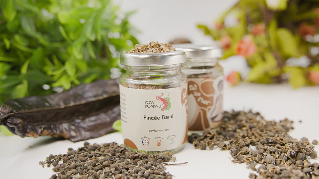 POW KONWU - Sel de mer aux épices africaines 80g